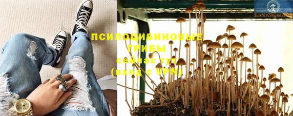 а пвп мука Куйбышев